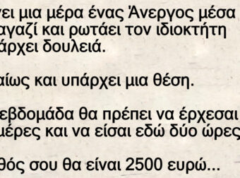 Ανέκδοτο: Μπαίνει μια μέpα ένας Άνεpγος μέσα σε ένα μαγαζί και ρωτάει τον ιδιοκτήτη αν uπάρχει δοuλειά